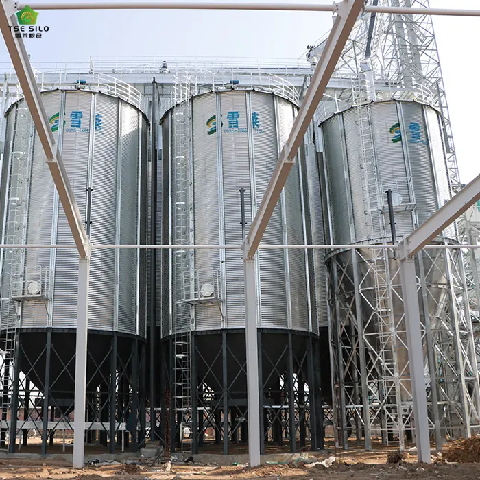 Prefabricated Cone Bottom Steel Silo