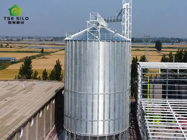 Grain Steel Silo