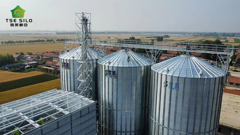 Flat Bottom Silo