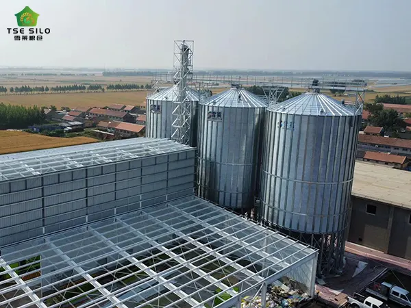 Grain Storage Silos