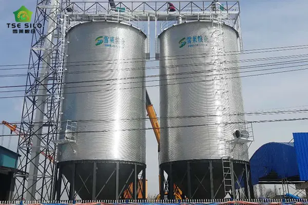 Cone-Bottom Steel Silo