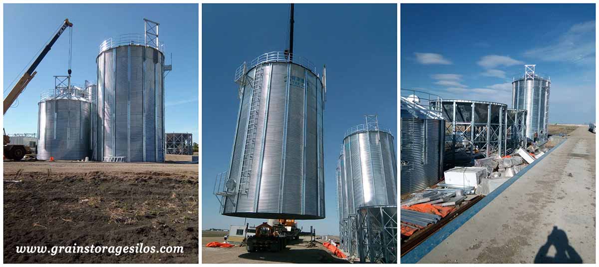 hopper bottom silos for paddy is installing in canada