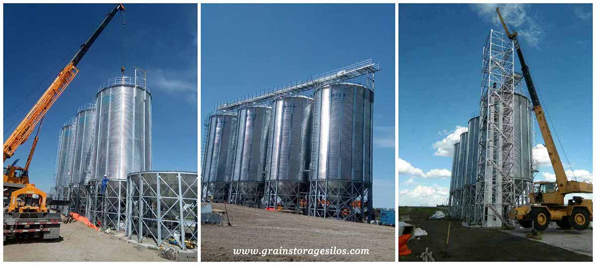 paddy storage silo project is installing in canada