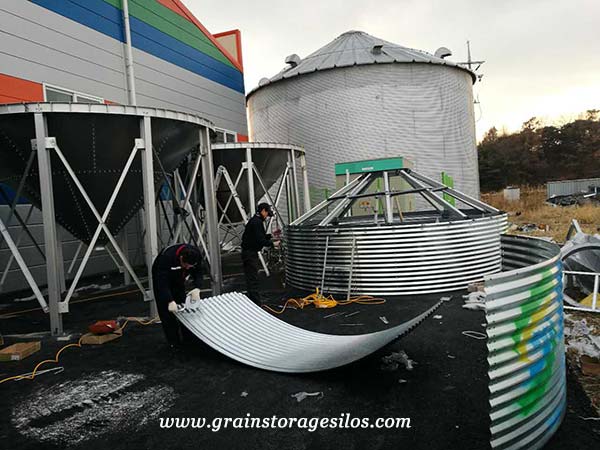 rice storage silo installation in south korea