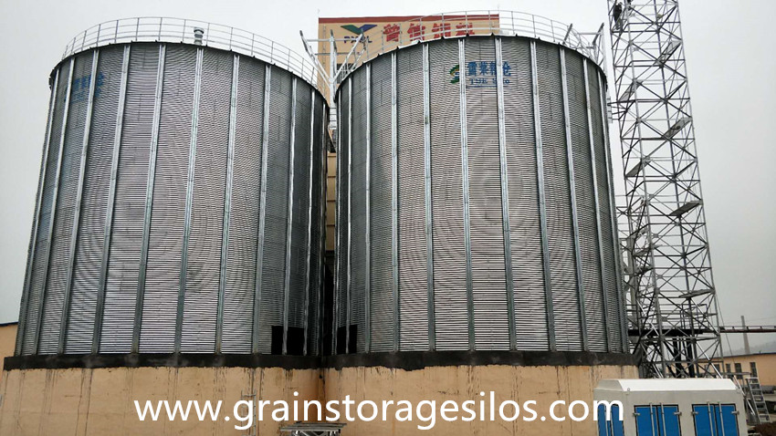 grain silo installation in shandong province